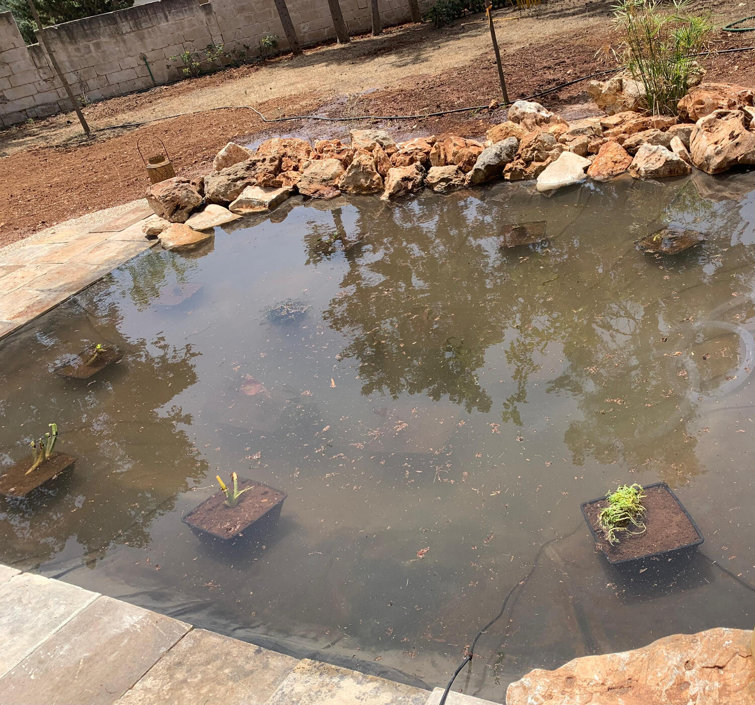 sustainable landscape architecture italy, natural pond design, studio183 architecture